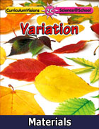 Curriculum Visions