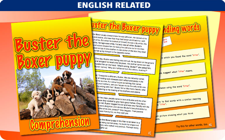Curriculum Visions teacher animals resource