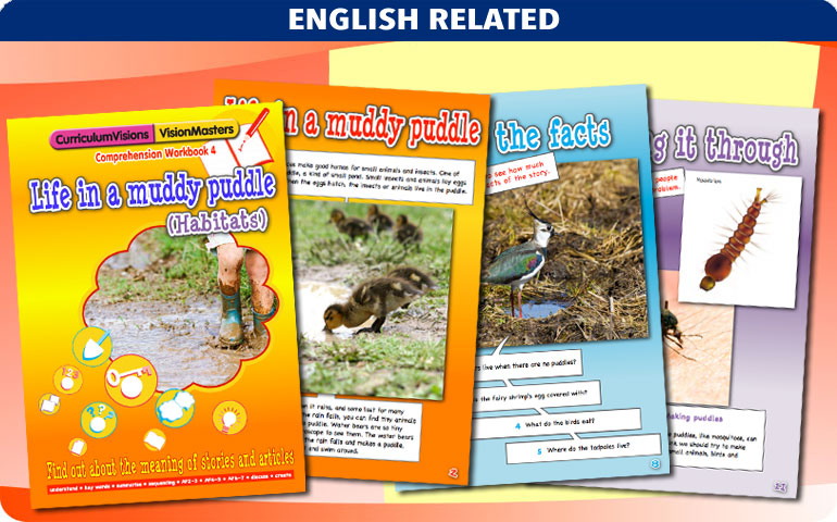 Curriculum Visions teacher animals resource