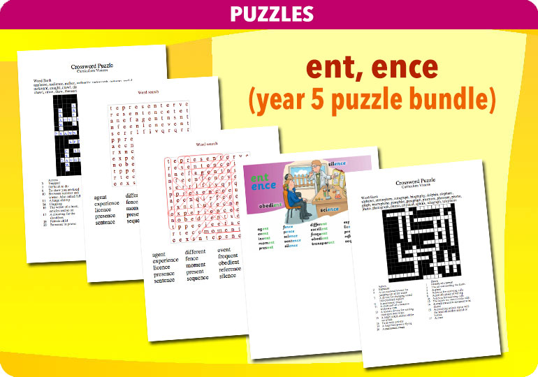 Curriculum Visions teacher year 5 ks2 literacy english resource