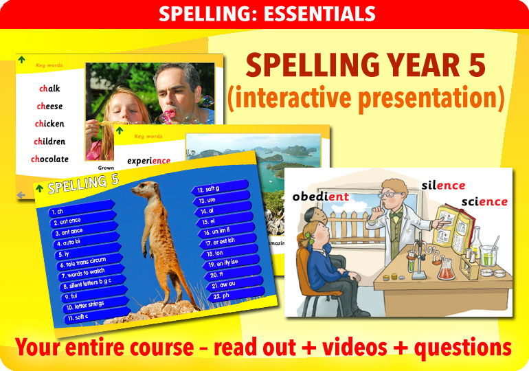 Curriculum Visions teacher year 5 ks2 literacy english resource