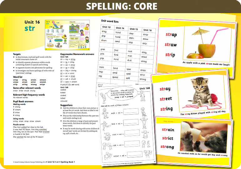 Curriculum Visions teacher year 1 year 2 literacy english resource