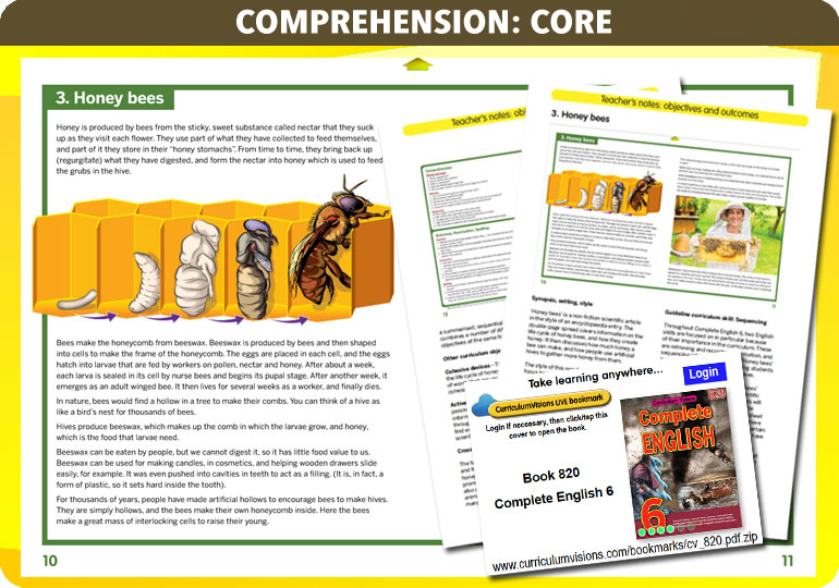 Curriculum Visions teacher year 6 ks2 literacy english resource