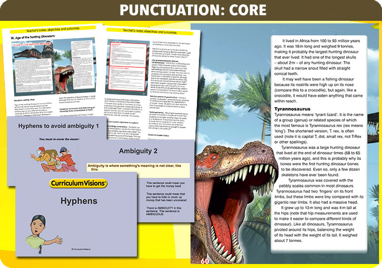 Curriculum Visions teacher year 6 ks2 literacy english resource