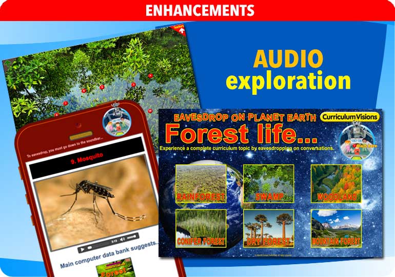 Curriculum Visions teacher rainforest geography resource