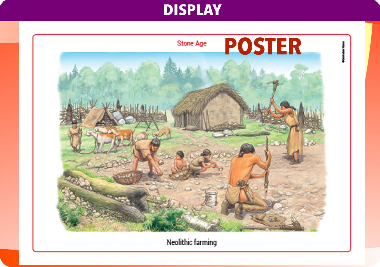 Curriculum Visions teacher the stone age history resource