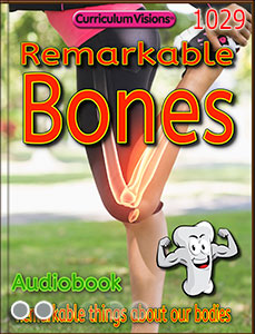 Book 1