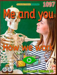 Book 4