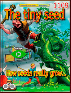 Book 3
