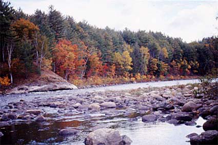This picture is © 2001 Curriculum Visions