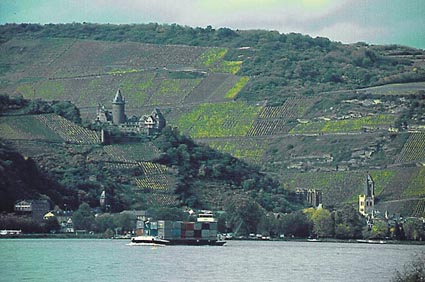 ©2006 Curriculum Visions  Rhine Main