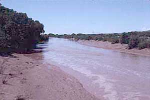 This picture is © Curriculum Visions 2003