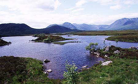 This picture is copyright 2003 of Atlantic Europe Publishing