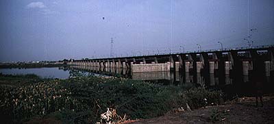 &copy;2006 Curriculum Visions  Delhi