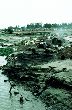 &copy;2006 Curriculum Visions  Delhi