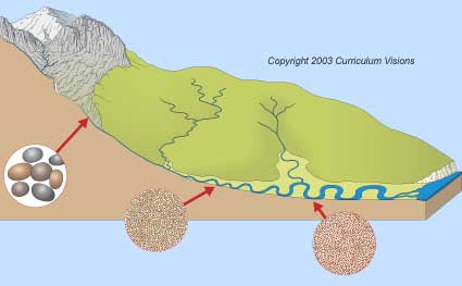 This picture is ©2006 Curriculum Visions