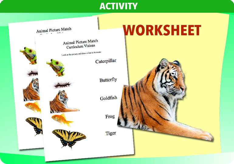 Curriculum Visions teacher ourselves resource