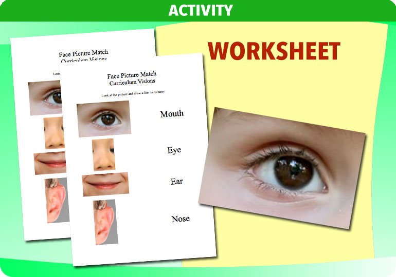 Curriculum Visions teacher ourselves resource