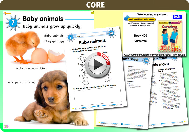 Curriculum Visions teacher ourselves resource