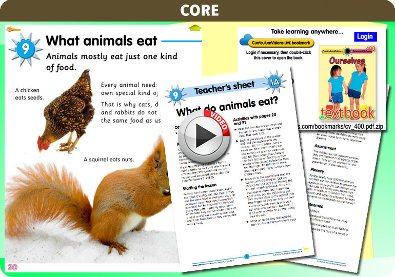 Curriculum Visions teacher ourselves resource