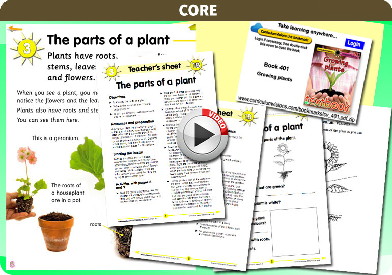 Curriculum Visions teacher ourselves resource
