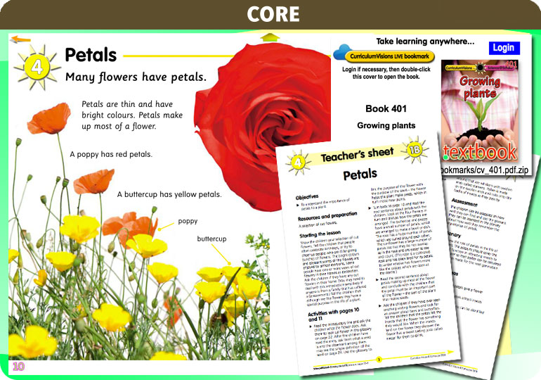 Curriculum Visions teacher ourselves resource