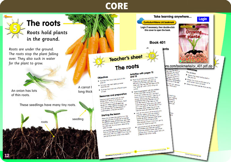 Curriculum Visions teacher ourselves resource
