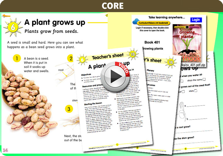 Curriculum Visions teacher ourselves resource