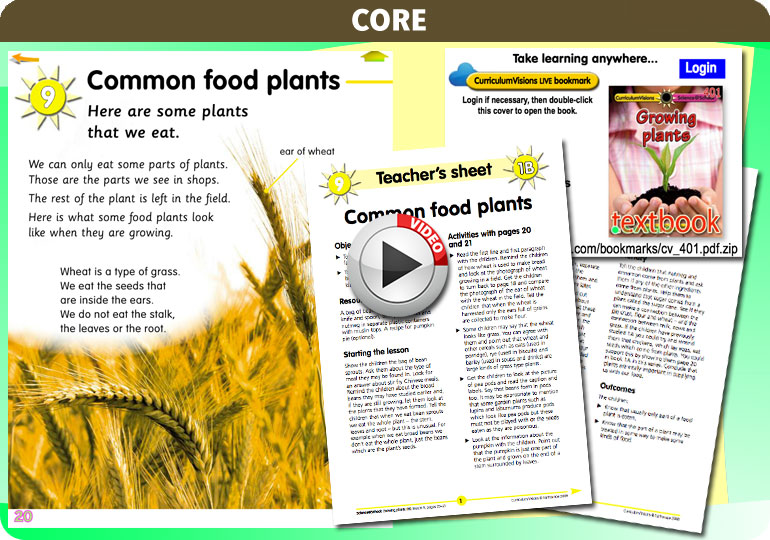 Curriculum Visions teacher ourselves resource
