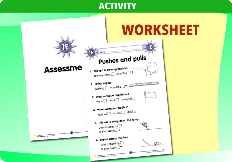 Curriculum Visions teacher ourselves resource