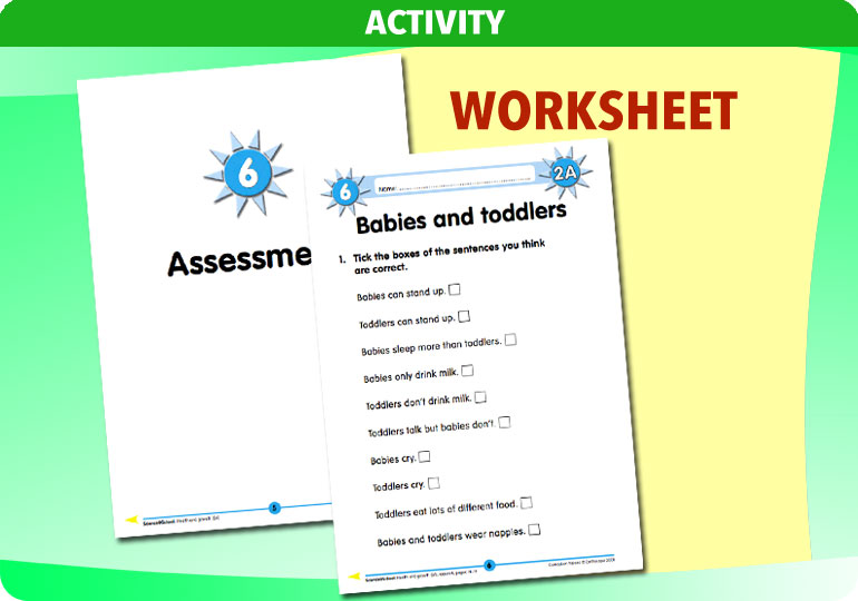 Curriculum Visions teacher health and growth resource