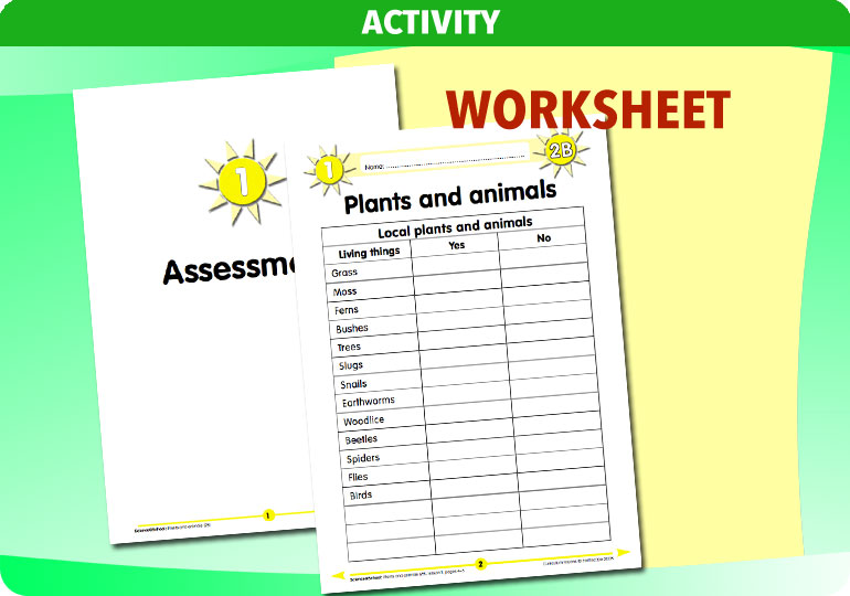 Curriculum Visions teacher plants and animals resource