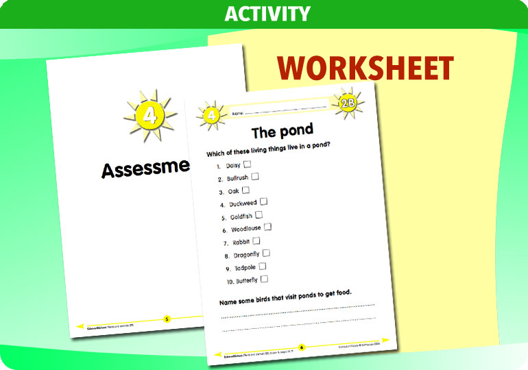 Curriculum Visions teacher plants and animals resource