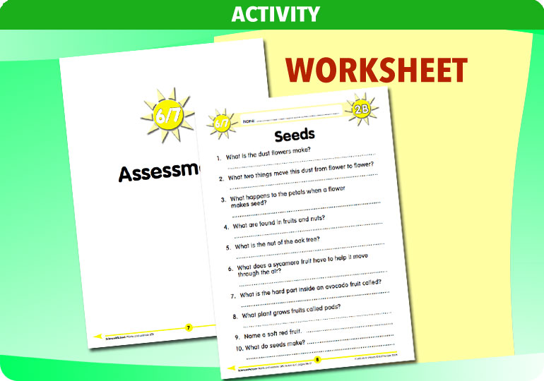 Curriculum Visions teacher plants and animals resource