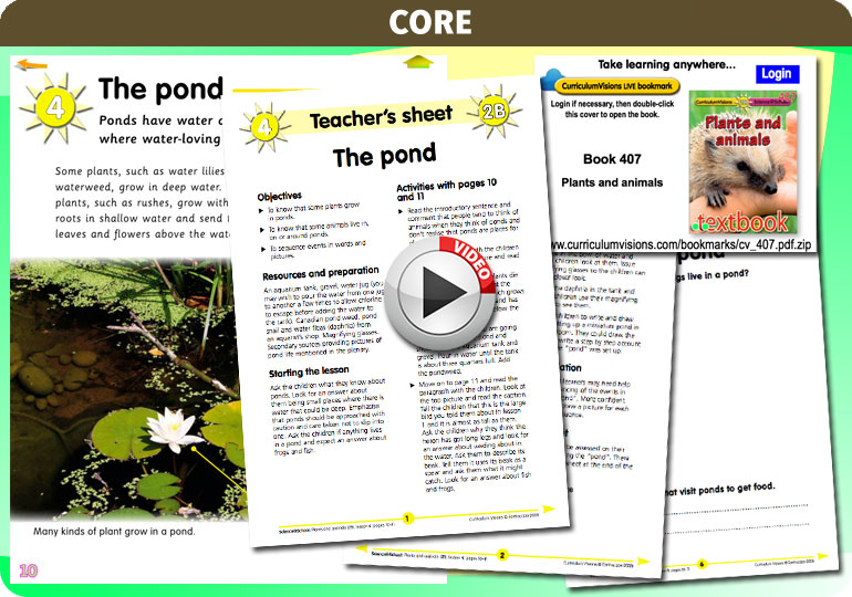 Curriculum Visions teacher plants and animals resource