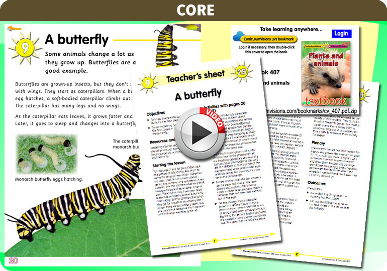 Curriculum Visions teacher plants and animals resource