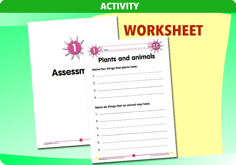 Curriculum Visions teacher variation resource