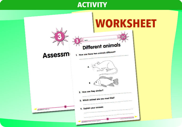 Curriculum Visions teacher variation resource