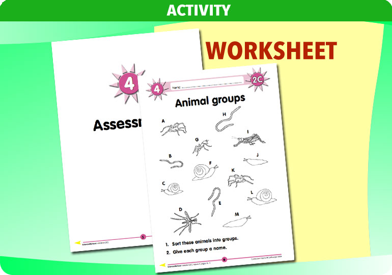 Curriculum Visions teacher variation resource