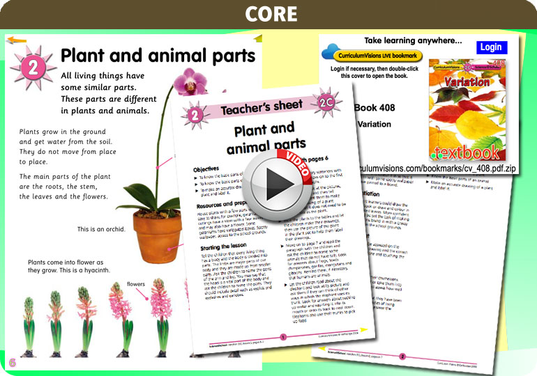 Curriculum Visions teacher variation resource
