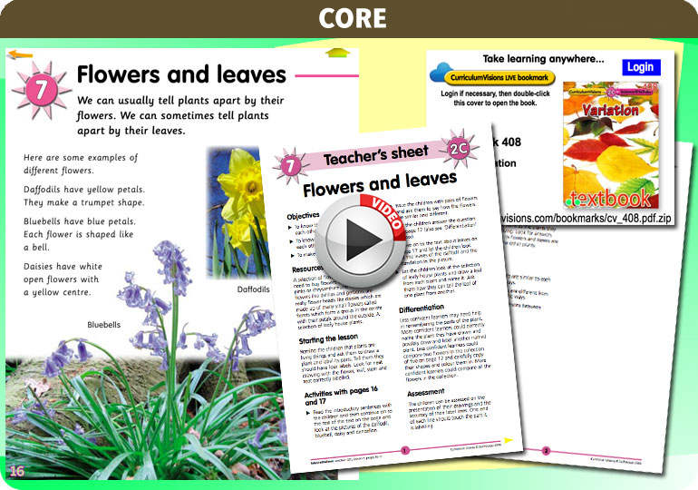 Curriculum Visions teacher variation resource