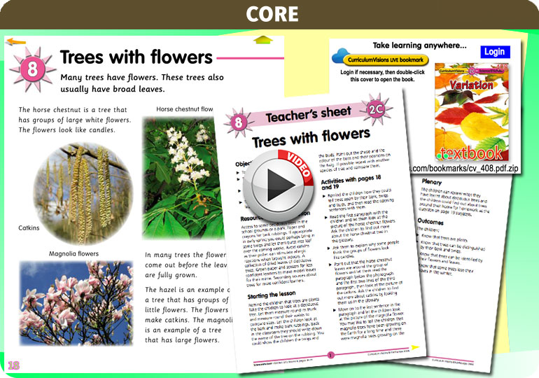 Curriculum Visions teacher variation resource