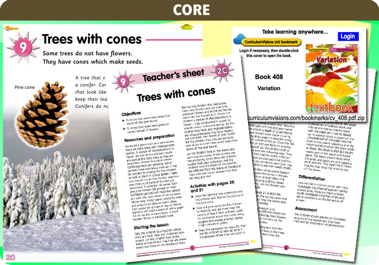 Curriculum Visions teacher variation resource