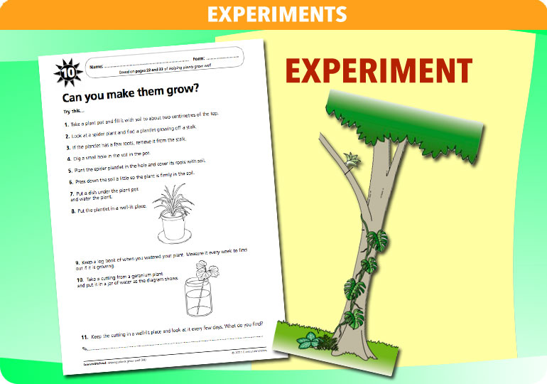 Curriculum Visions teacher helping plants grow resource