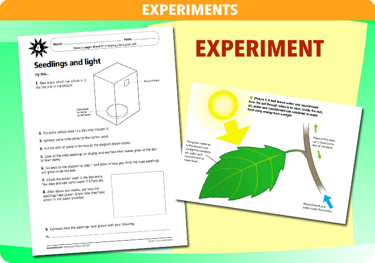 Curriculum Visions teacher helping plants grow resource