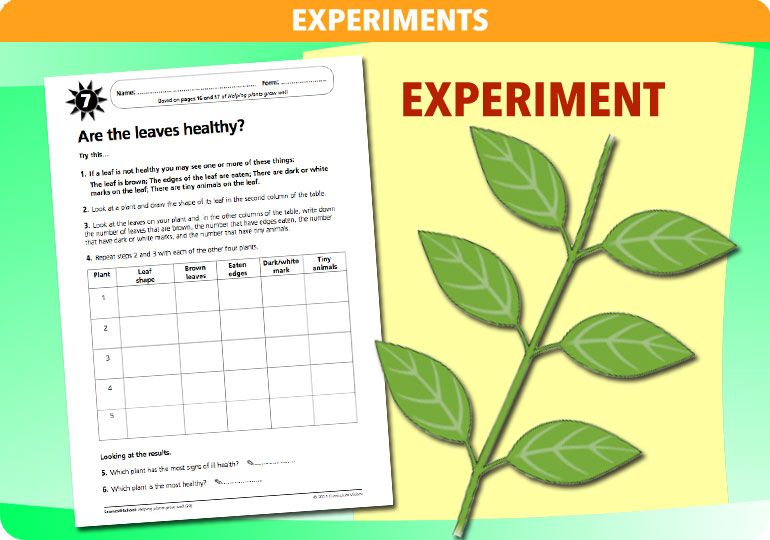 Curriculum Visions teacher helping plants grow resource