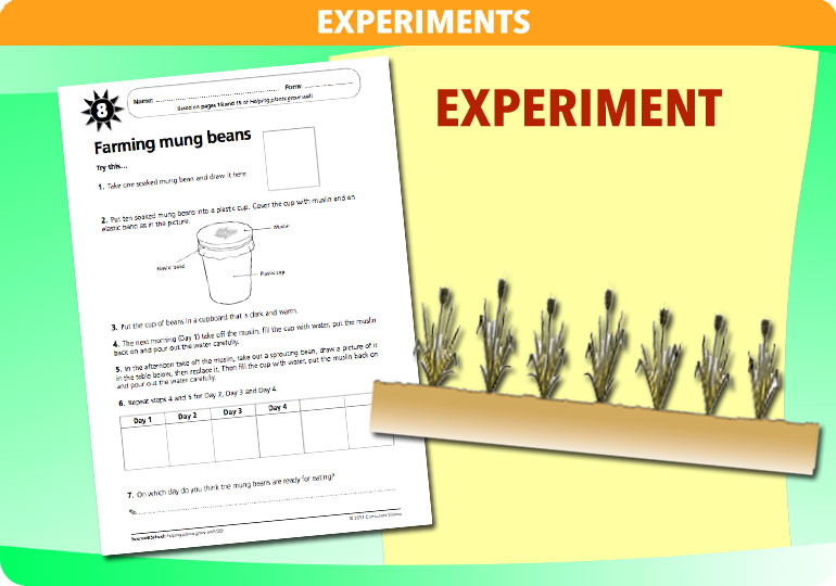 Curriculum Visions teacher helping plants grow resource