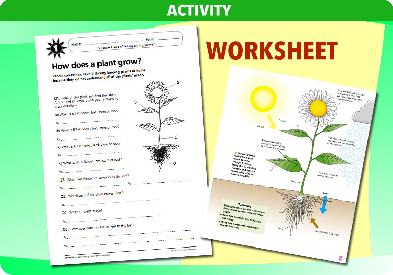 Curriculum Visions teacher helping plants grow resource