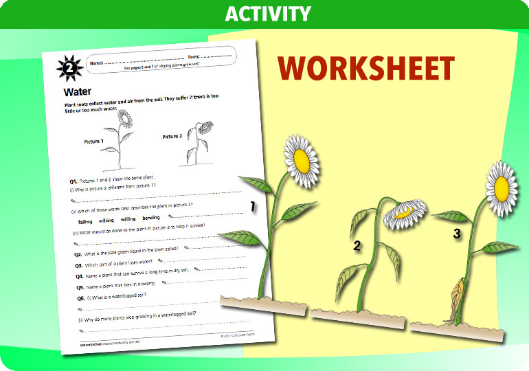 Curriculum Visions teacher helping plants grow resource