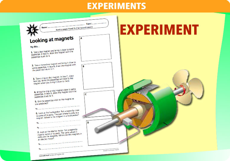 Curriculum Visions teacher magnets and springs resource